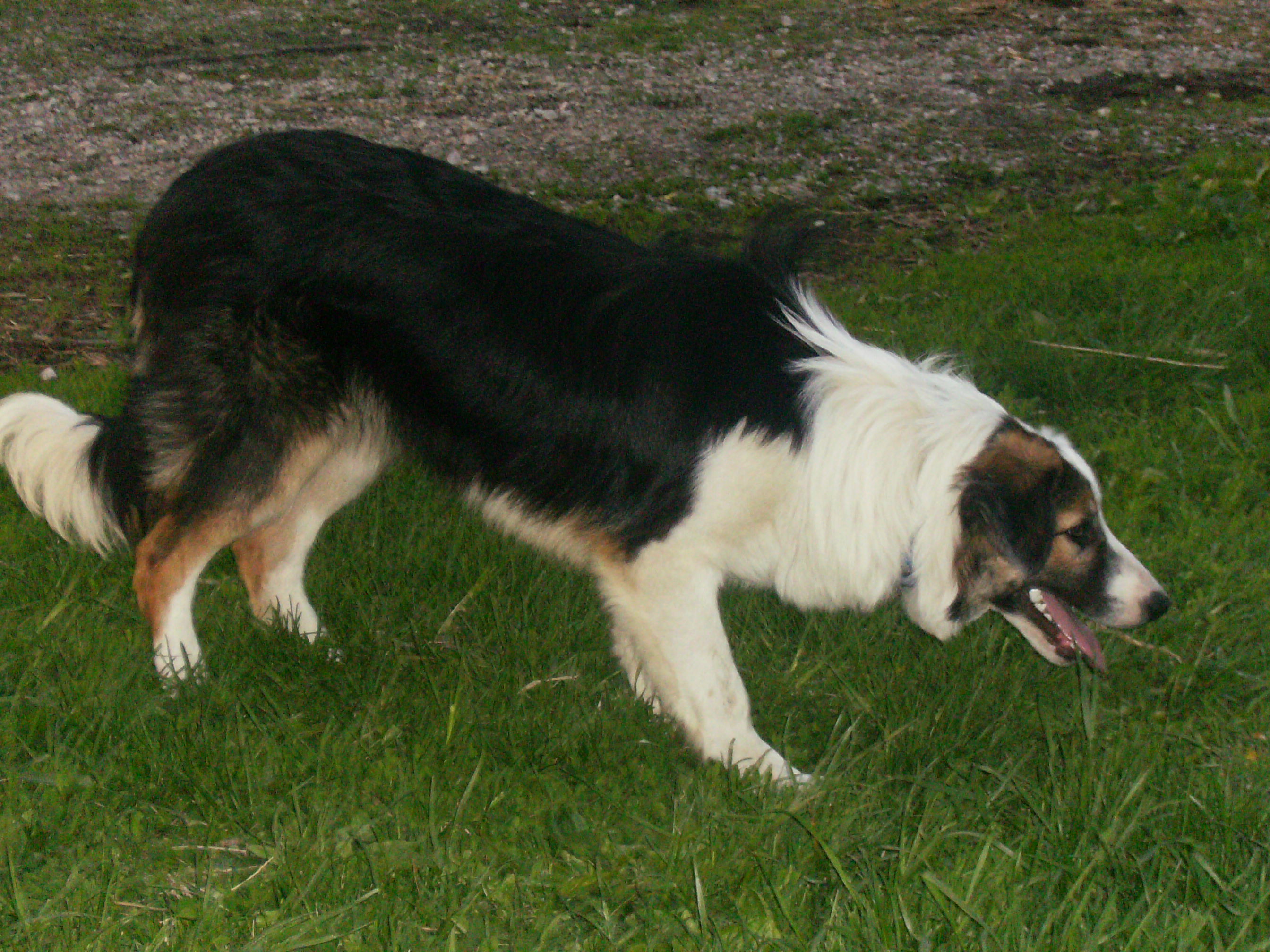 clydemay08.jpg